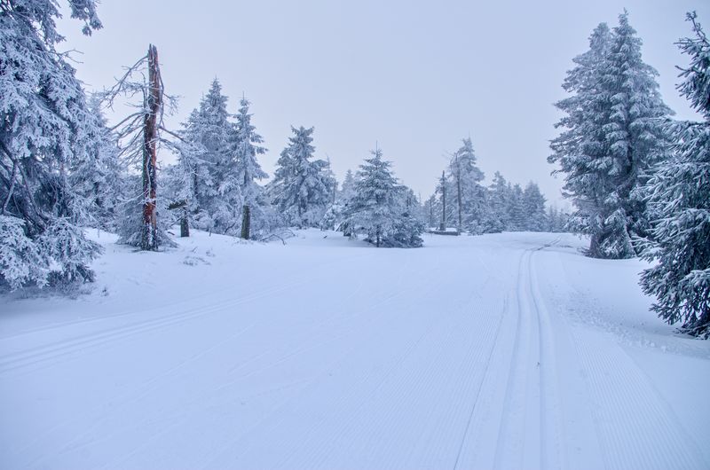 snow