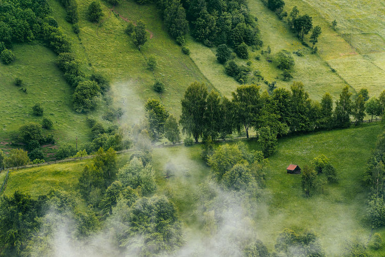 High angle view of foggy hill with meadow and trees in summer