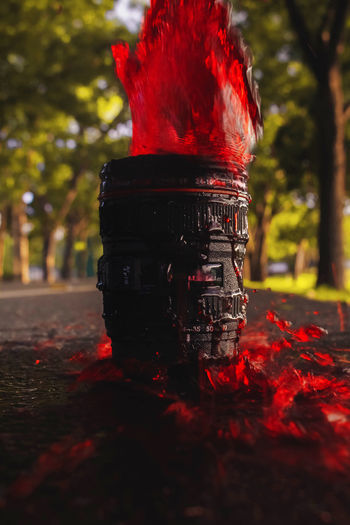 Close-up of red fire hydrant against trees