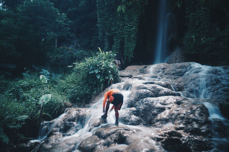 Rear view of man on rock at waterfall in forest