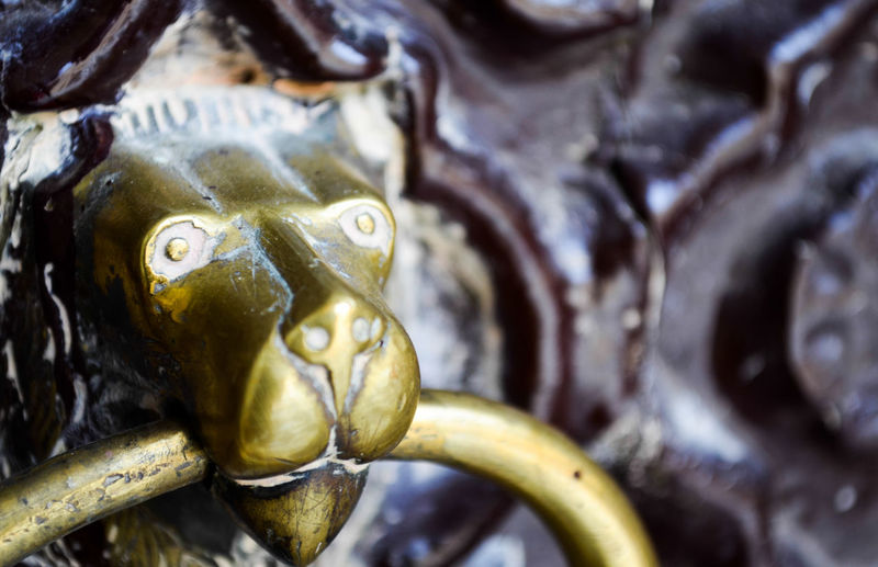 Close-up of lion door knocker