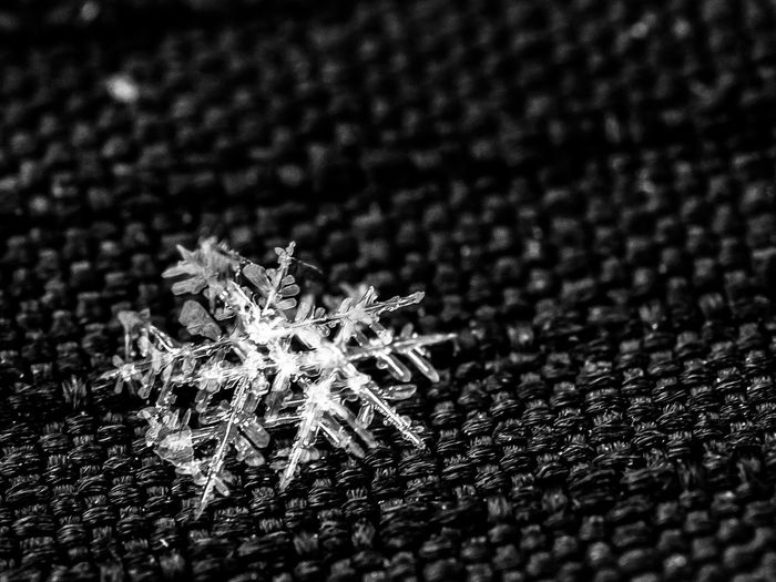 Close-up of snowflakes on table