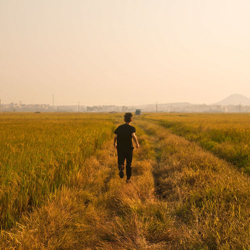 Rear view of man walking on grassy field against clear sky during sunset
