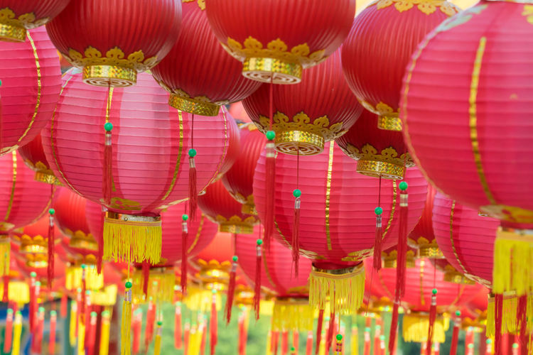 Chinese lanterns hanging outdoors