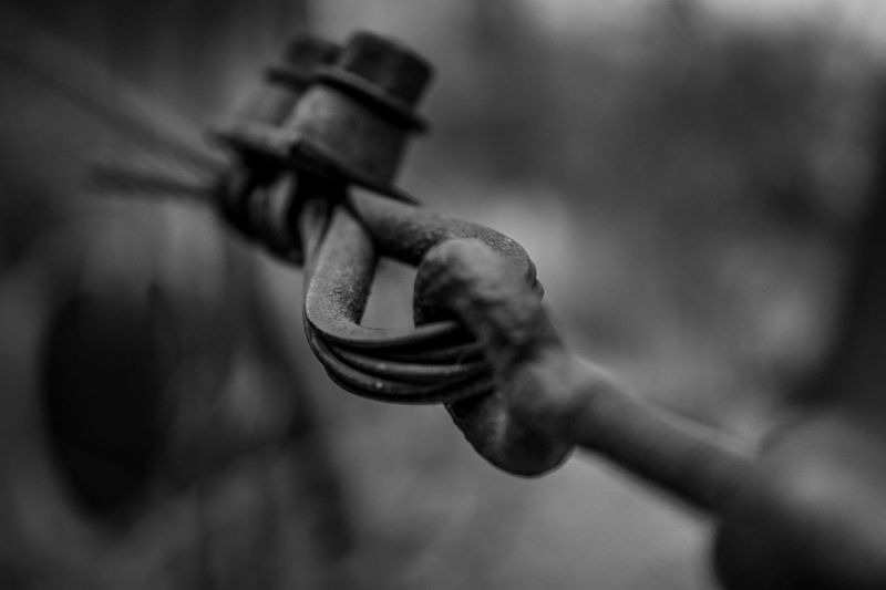 Close-up of hand holding rope