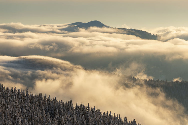 The beauty of winter on the snowy mountains at sunset. vladeasa mountains - romania
