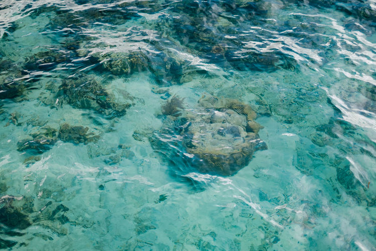 Crystal clear water with tropical coral reef under the water ripples.