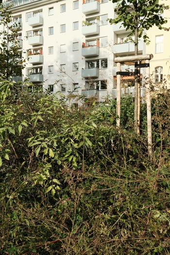 View of residential building
