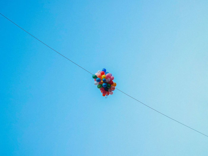 Low angle view of flowers against clear blue sky