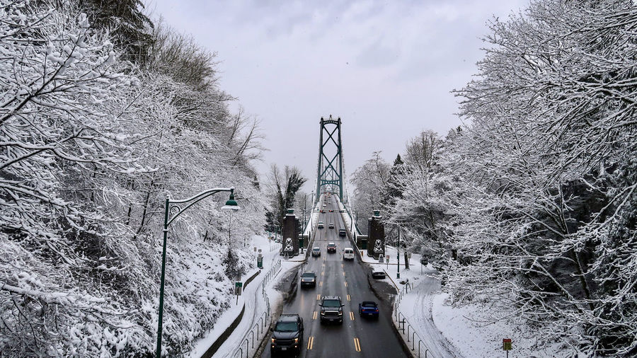 Lions gate bridge and trees covered with snow against sky at stanley park
