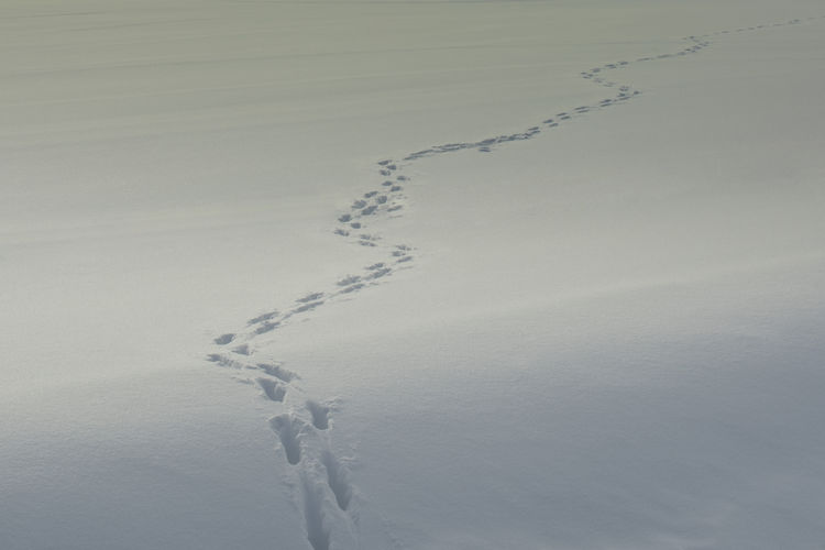 High angle view of snow on land