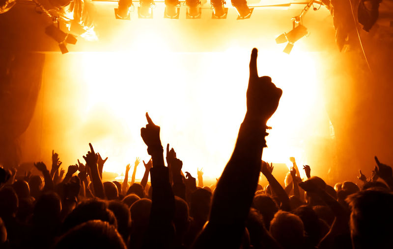 Crowd at music concert