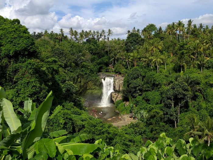 Scenic view of waterfall and trees against sky