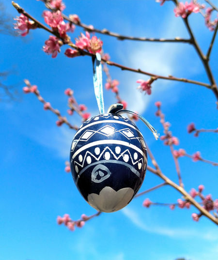 Low angle view of hanging blue colored easter egg in tree with pink blossoms against sky