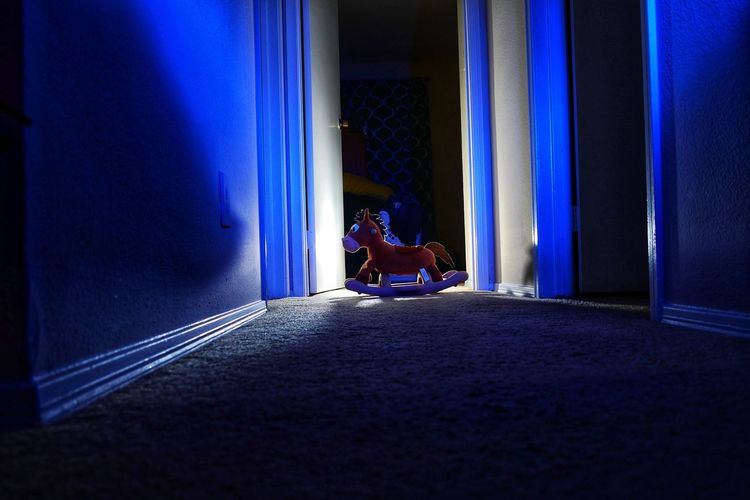 Toy on rug at home