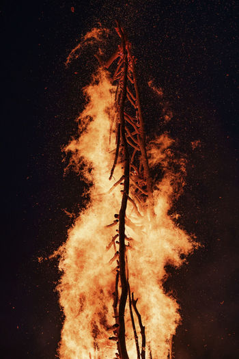 Close-up of wood burning against black background