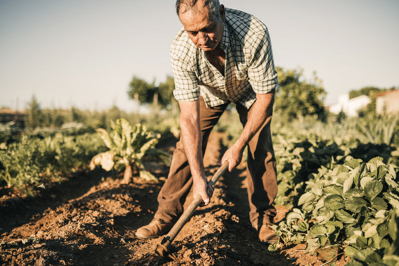 Senior farmer using shovel while working in farm