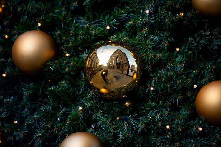 Reflection of man on christmas tree in garden