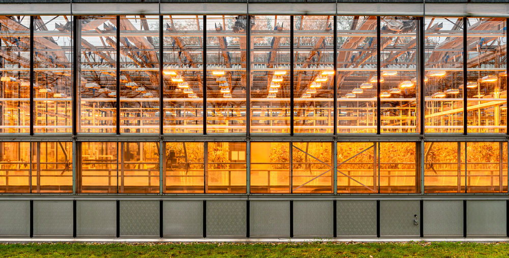 Full frame shot of illuminated greenhouse