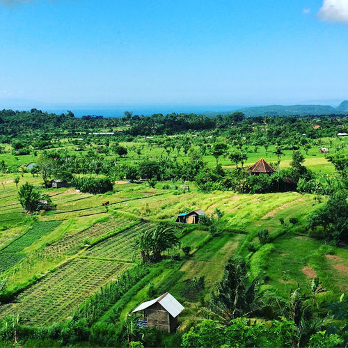 Scenic view of rural landscape