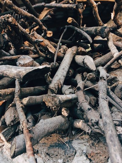 Close-up of logs stack