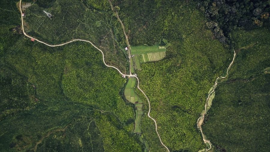 Aerial view of scenic landscape