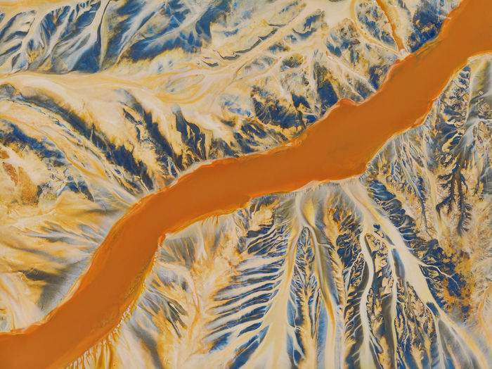 High angle view of orange swimming in sea
