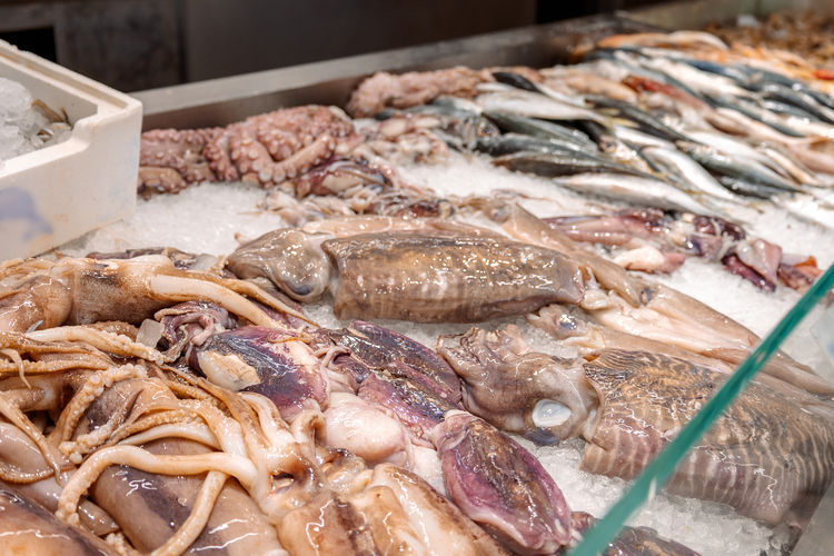 High angle view of seafood for sale at market stall