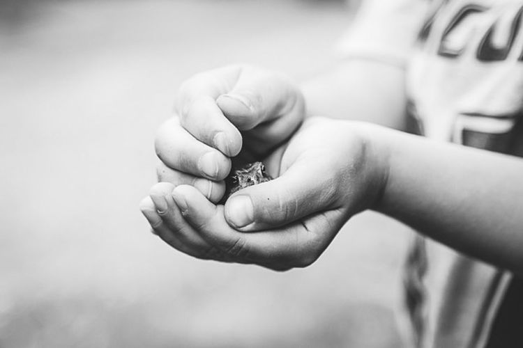 Cropped image of couple holding hands