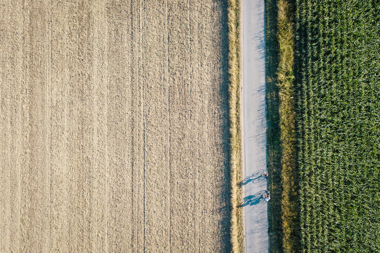 Directly above shot of farms