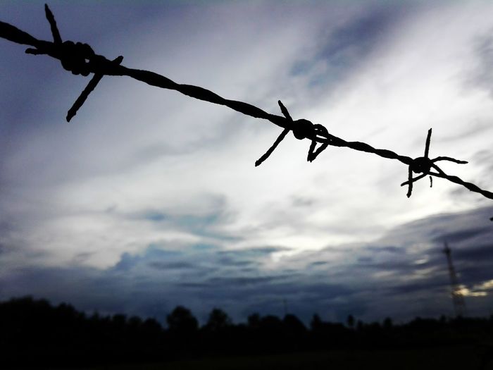 Low angle view of silhouette barbed wire against sky
