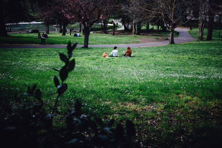 Children sitting on field in park