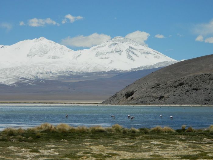 Scenic view of sea and snowcapped mountains against sky