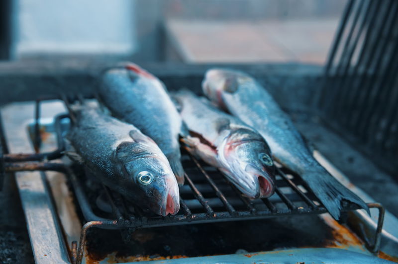 Closeup of grilling fish on gridiron