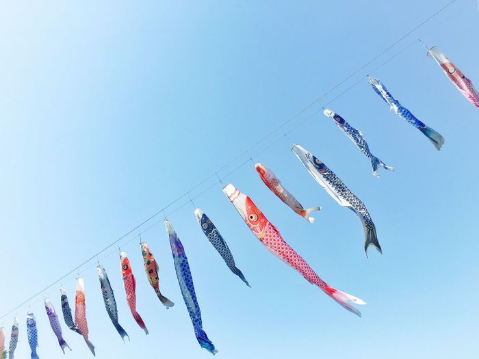 Low angle view of koinobori hanging against clear blue sky