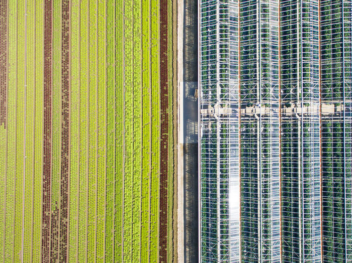 Full frame shot of building