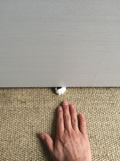 Reach out. hand to paw