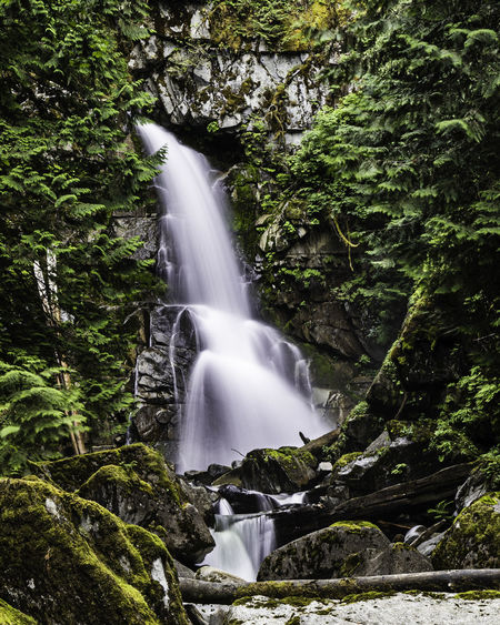 Deep forest long exposure waterfall