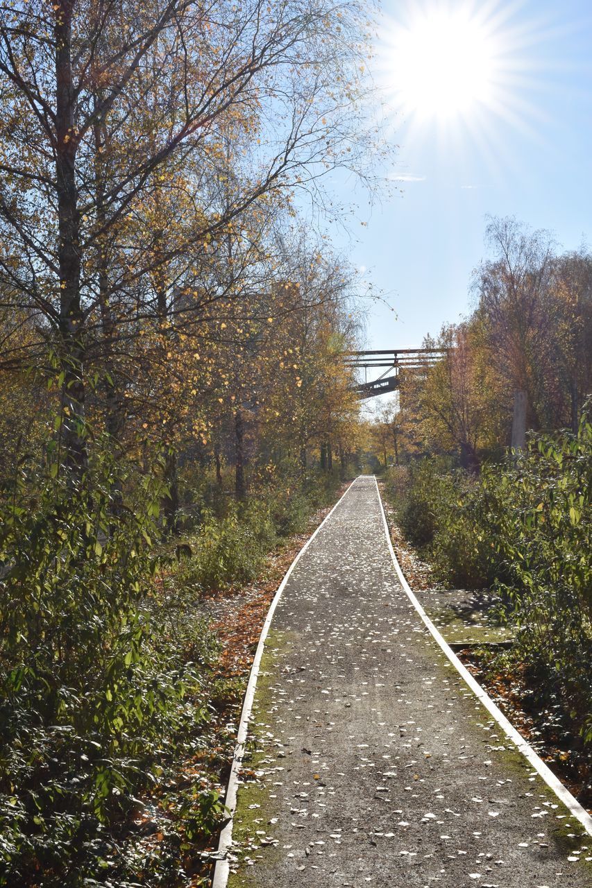 RAILROAD TRACK AMIDST TREES AGAINST SKY