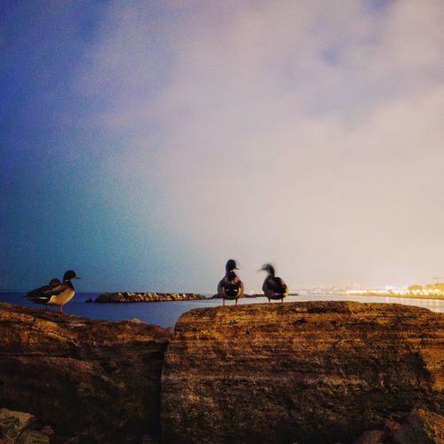 People sitting on rock by sea against sky