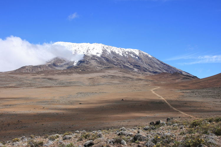 View of trail hiking up to summit of mount kilimanjaro covered in snow, tanzania.