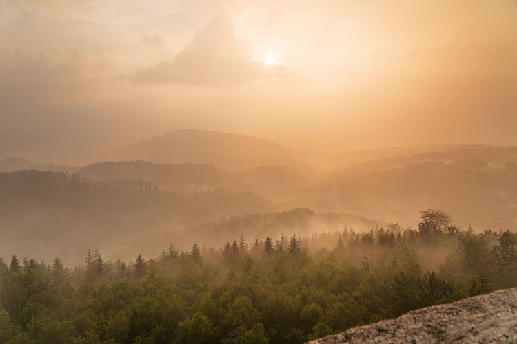 Rising haze during a summer shower in the waldprechtstal in the northern black forest