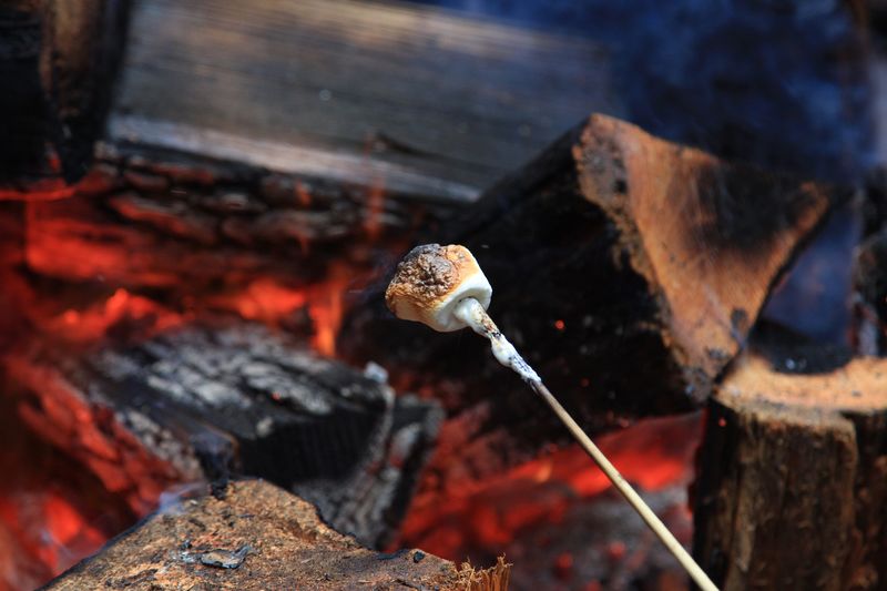 Close-up of marshmallow preparing on fire