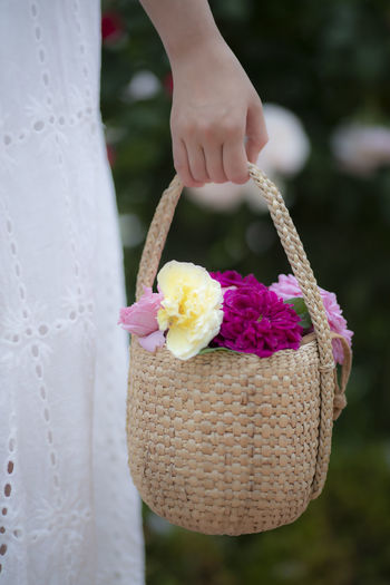 Close-up of hand holding purple flower