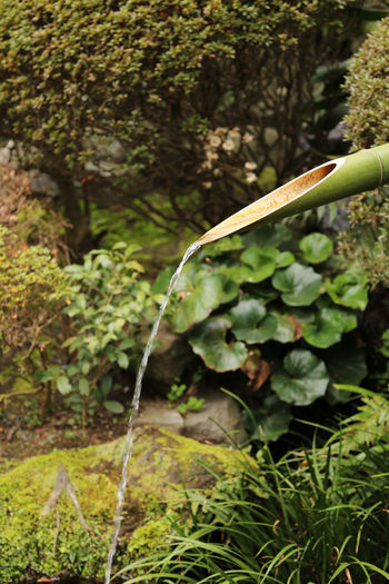 Bamboo dipper water fountain at japanese garden