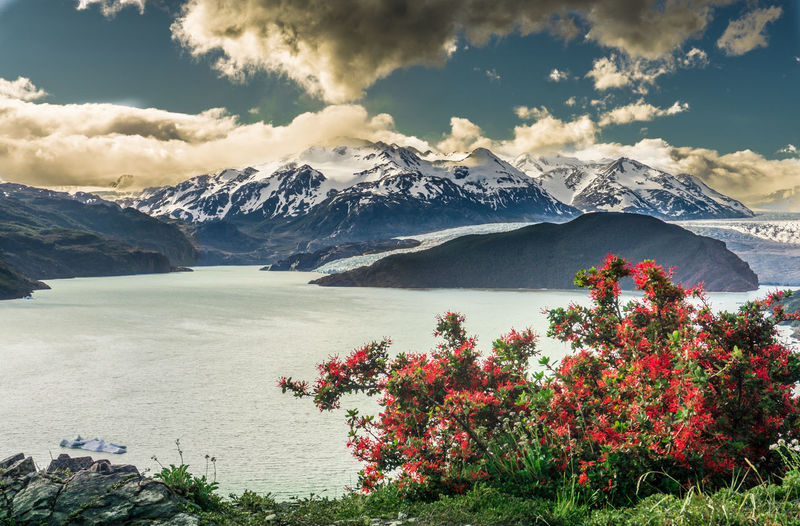 Scenic view of red flowering plants and lake by snowcapped mountains against sky