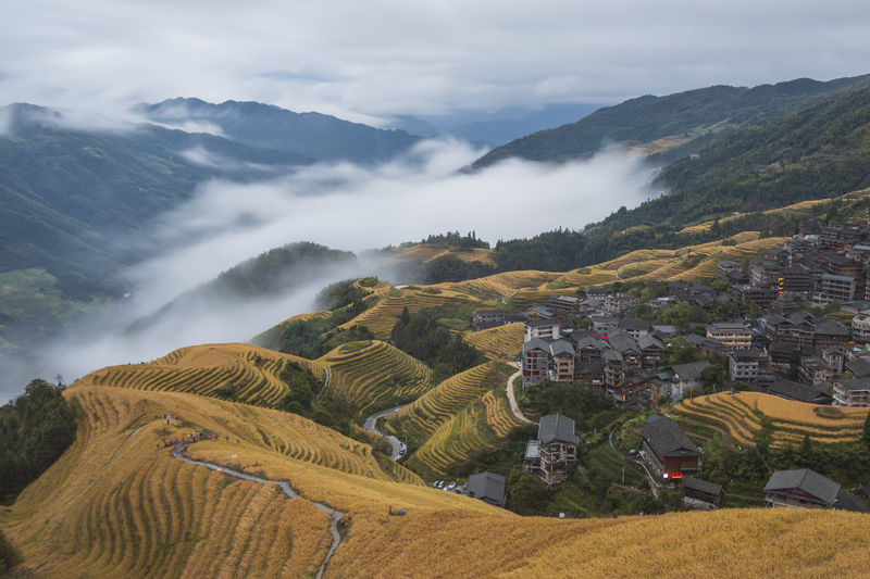 Dragon's back rice terrace in longji, china