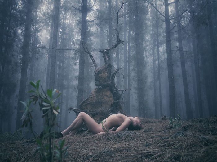 Woman lying on tree trunk in forest