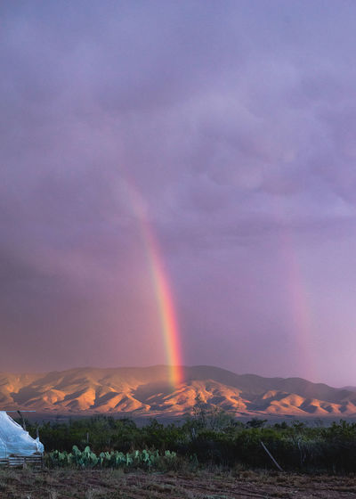 Rainbow over field against sky