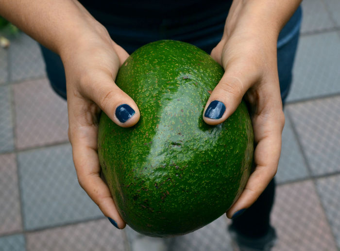 Close-up of person holding fruit